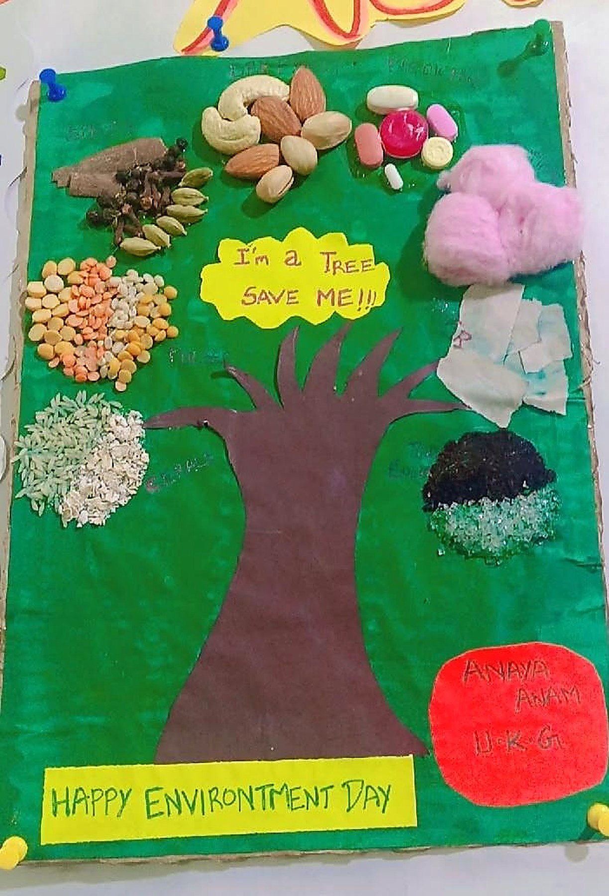 Environment Day craft work